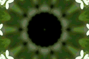 �n�R�x�c�N���b�N�g��