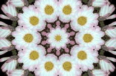 �V�l�����A�c�N���b�N�g��