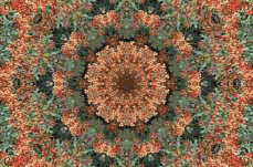 �s���J���T�c�N���b�N�g��
